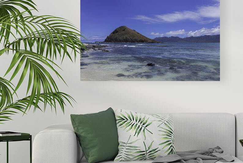 Hawaii Island by April Kanschat