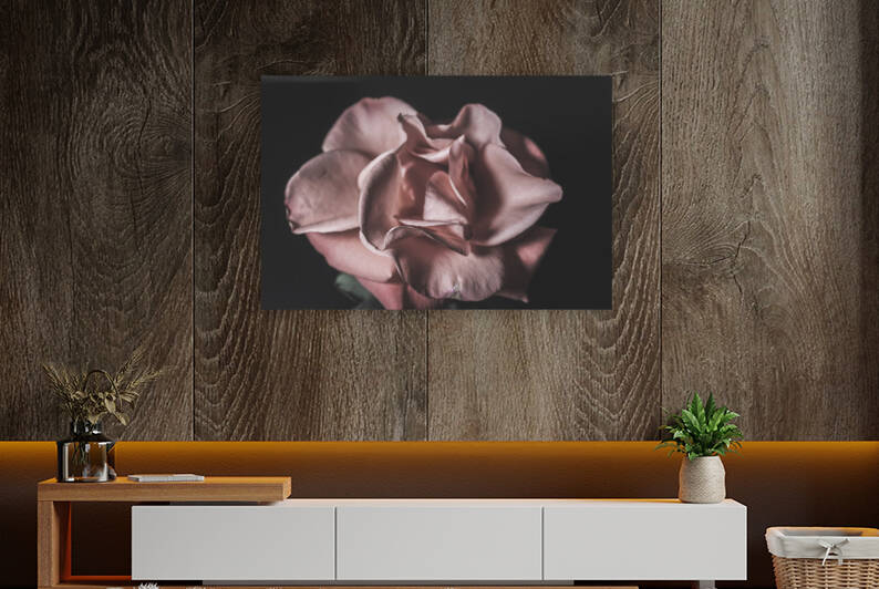 IMG 3679 by Rachel Ostler