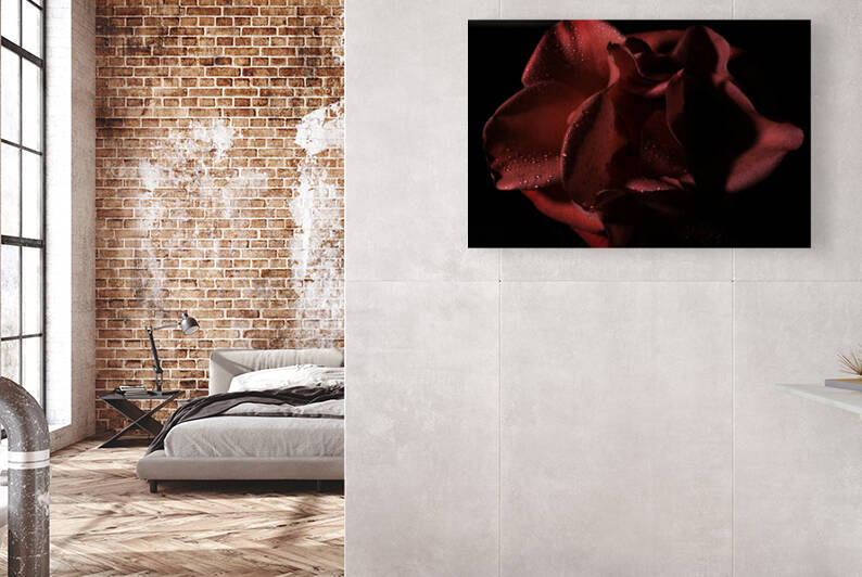 IMG 3697 by Rachel Ostler