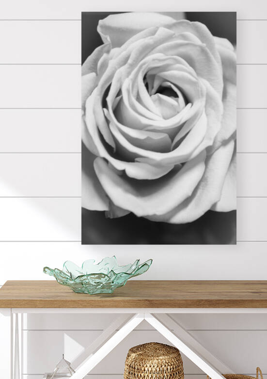 IMG 2877 by Rachel Ostler