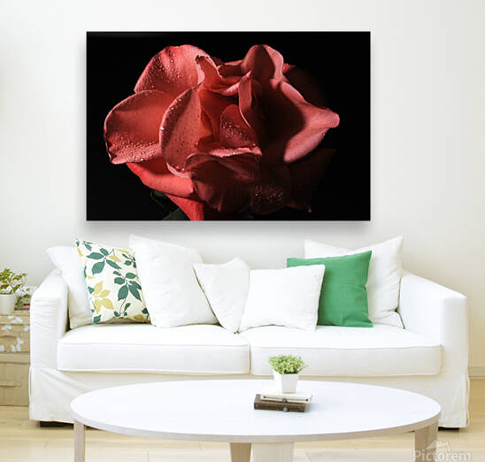 IMG 3700 by Rachel Ostler