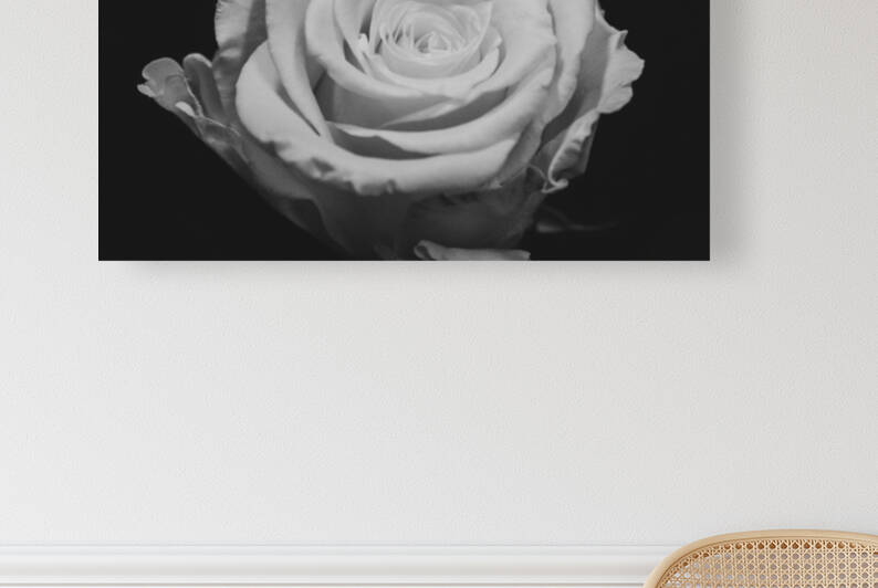 IMG 2495 by Rachel Ostler