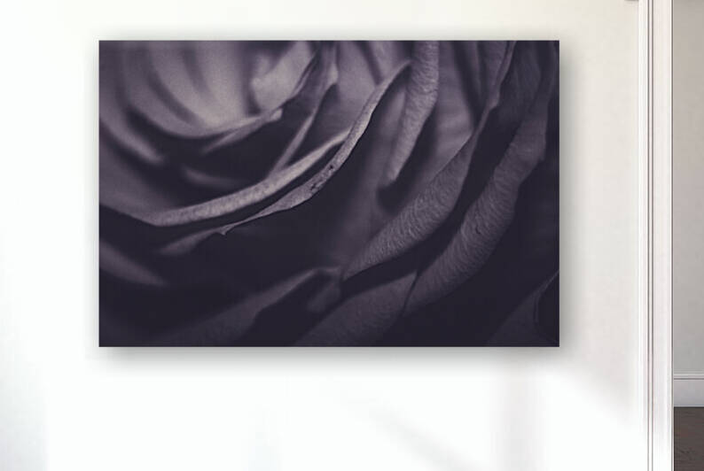 IMG 2820 by Rachel Ostler