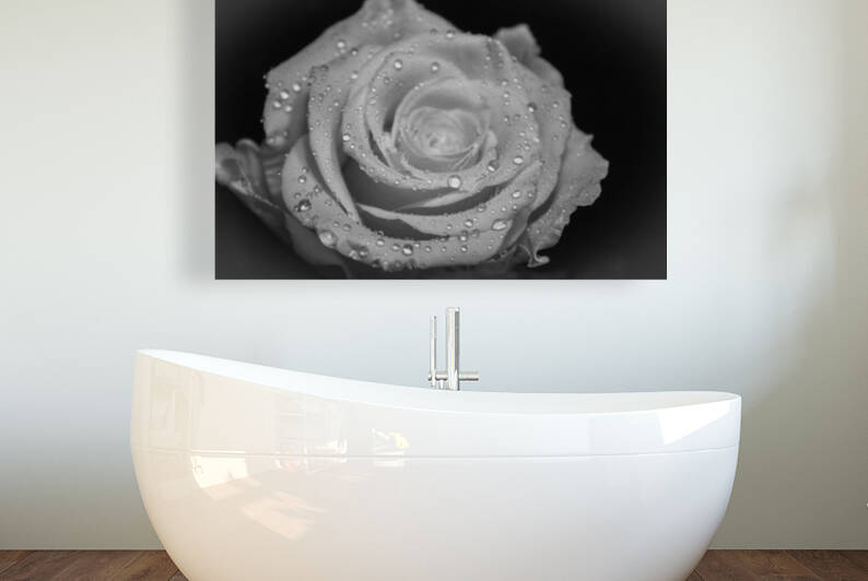 IMG 2498 by Rachel Ostler