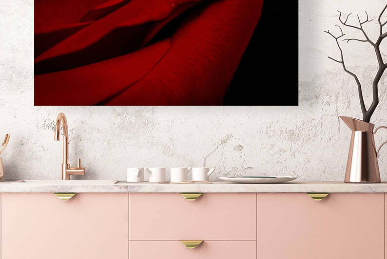 IMG 2799 2 by Rachel Ostler