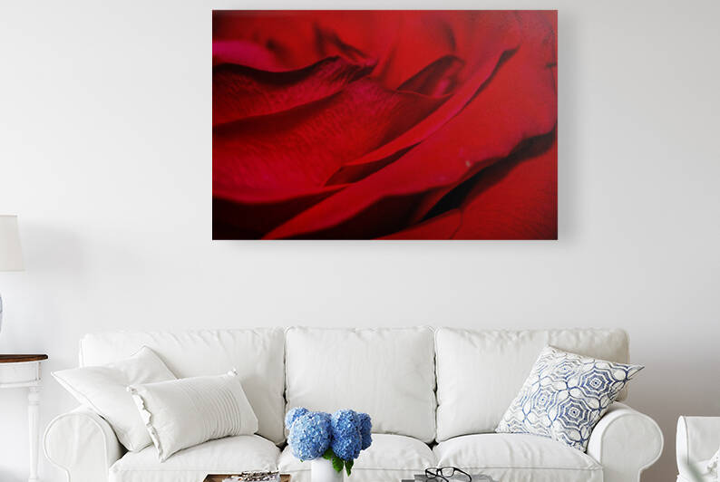 IMG 2800 2 by Rachel Ostler