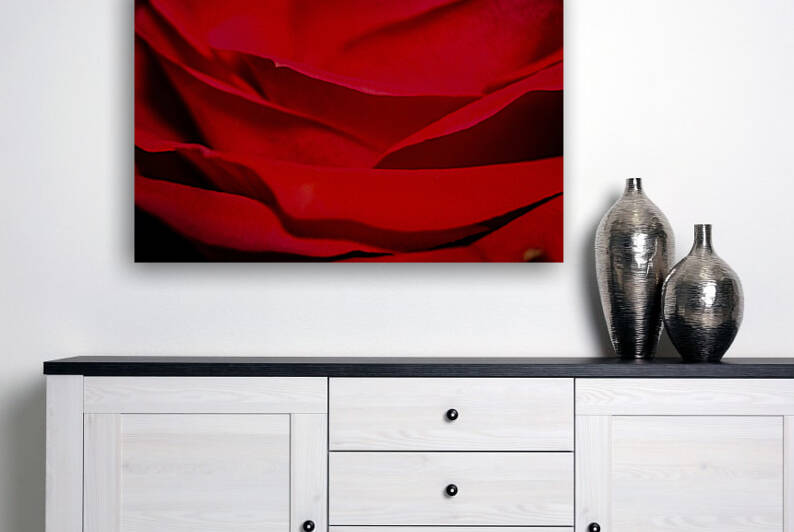 IMG 2803 by Rachel Ostler