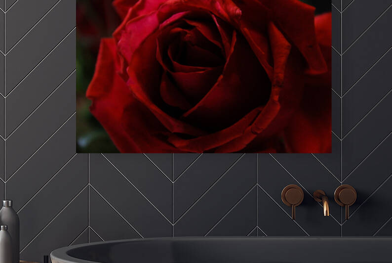 IMG 0023  3  by Rachel Ostler