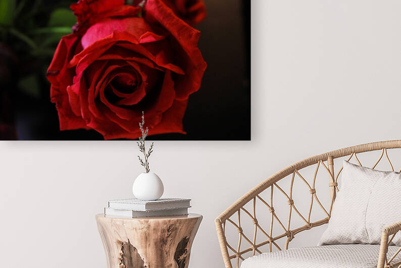 IMG 0020  2  by Rachel Ostler