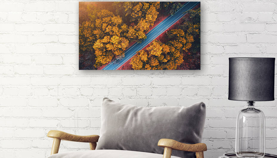 forest road autum trees by Ukepsahom