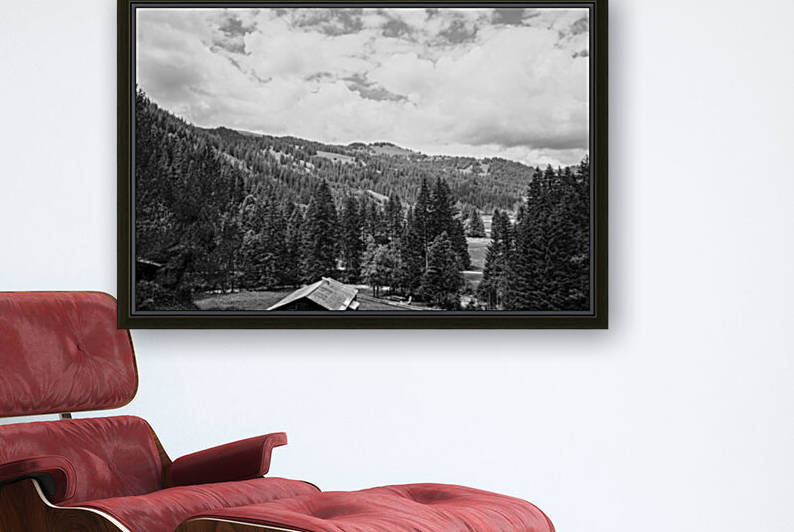 BW Serenity Found in the Alps of Switzerland 1 of 3   HC Stanek   Rare Limited Edition by 360 Studios