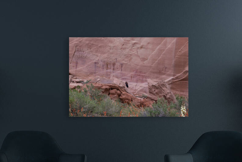 20190518  VEN4828 by Vernon E Nelson