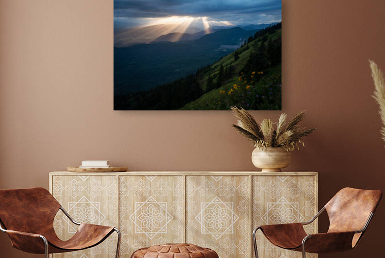 Wild Flowers on Dog Mountain by Noah Lang