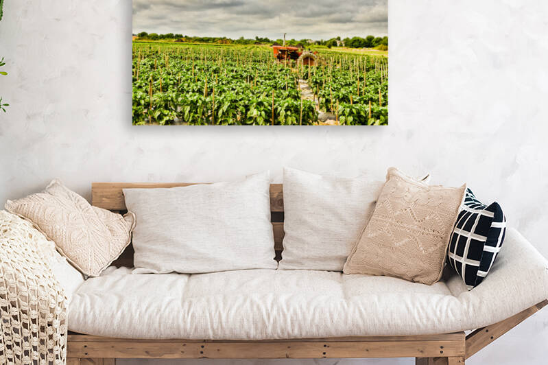 Before the Storm by Pop Robbins