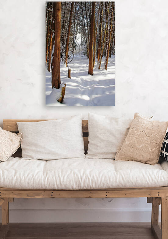 Winter Forest Walk Through The Cedars by Deb Oppermann