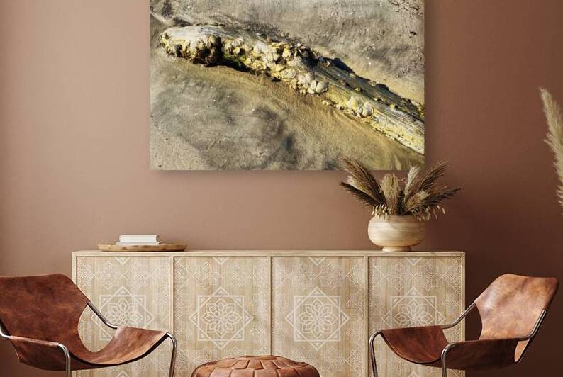 Barnacles on a Log at Jekyll Island by Bill Swartwout Photography