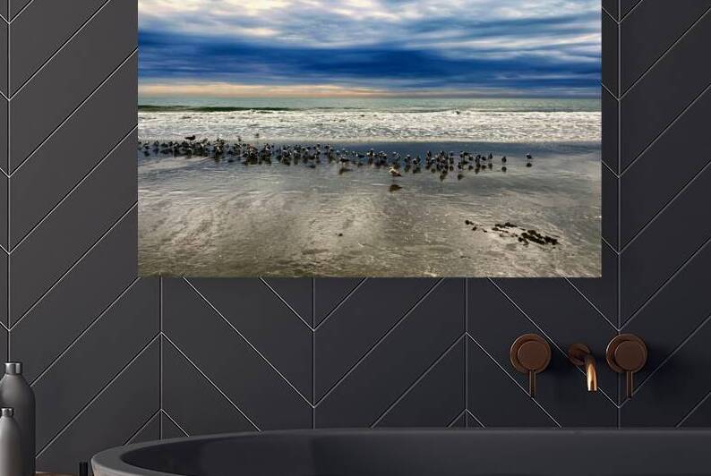 Birds of a Feather Go to the Beach Together by Bill Swartwout Photography