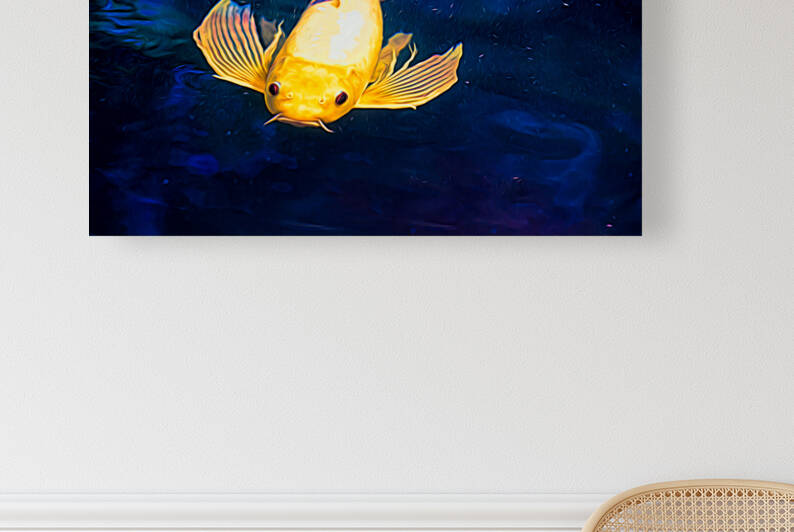 Yellow Koi by Kyle Arrowood