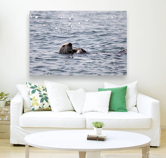Ollie The Sea Otter by Jackson Brown