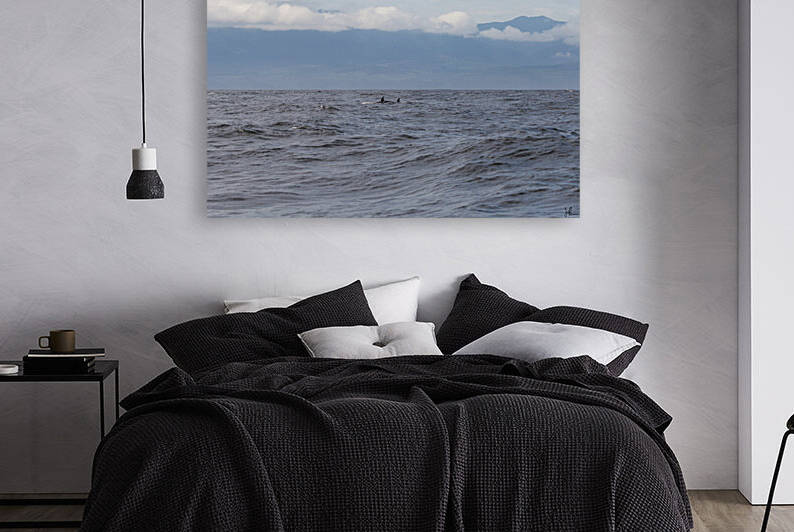 Killer Whale Fins by Jackson Brown