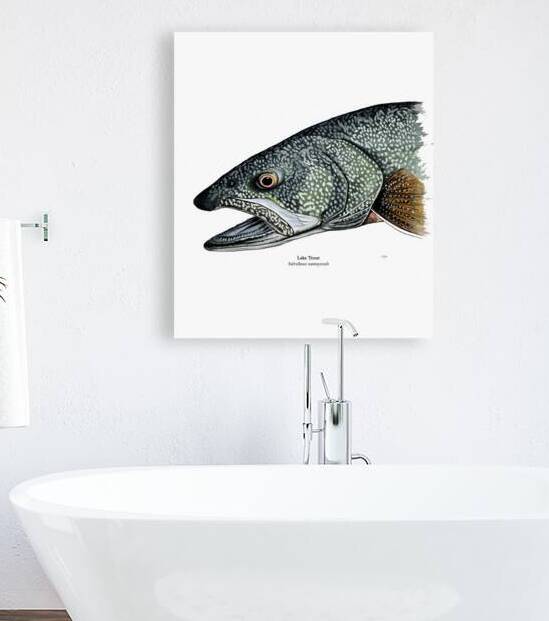 Lake Trout Painting by Stephen Emms