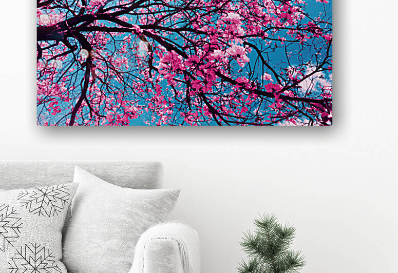 Cherry Blossom by Vibrant Canvases