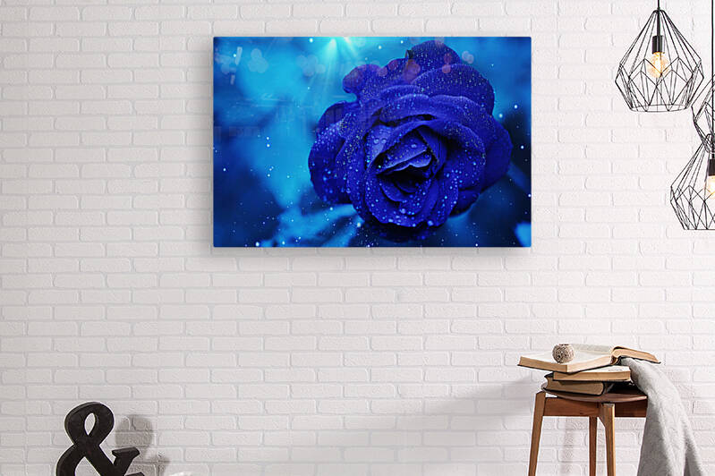 blue rose by Vibrant Canvases