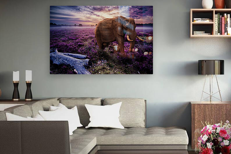 elephant by Vibrant Canvases