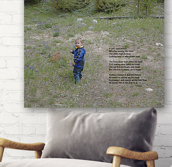 Among the Trees - square by Images That Speak