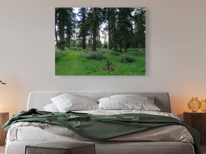 Glamis Castle Grounds by Images That Speak