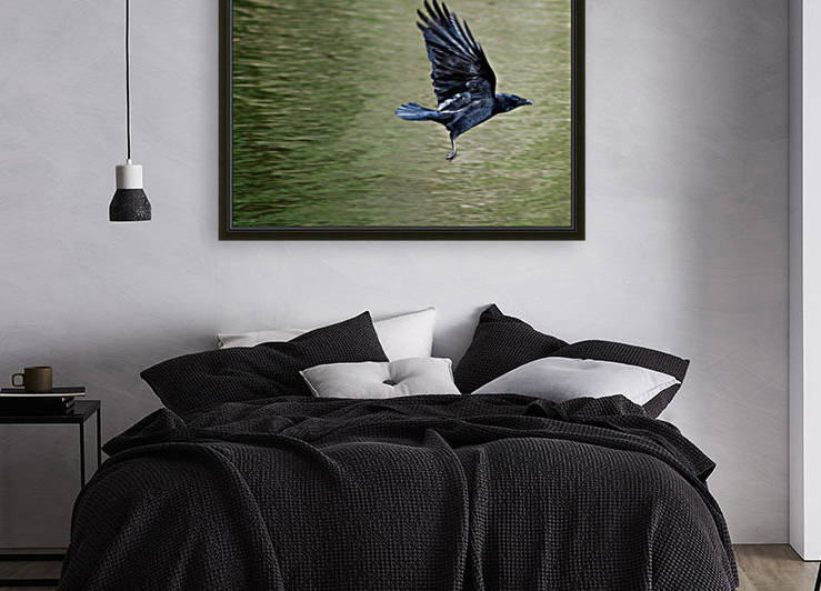 Crow above the lake by Tede