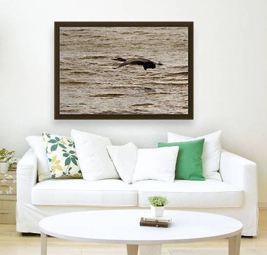 Heron flight by Tede