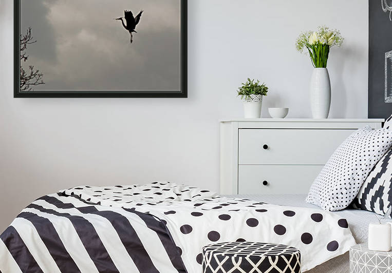 Heron landing by Tede