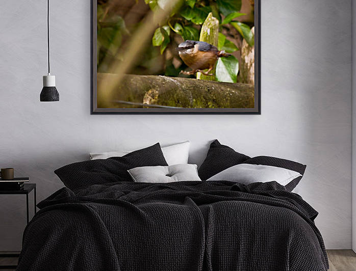 Nuthatch jumping by Tede