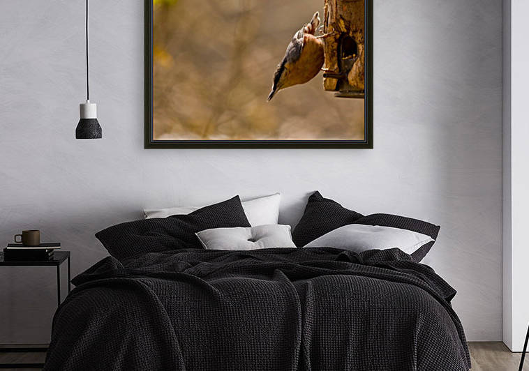 Nuthatch on the feeder by Tede