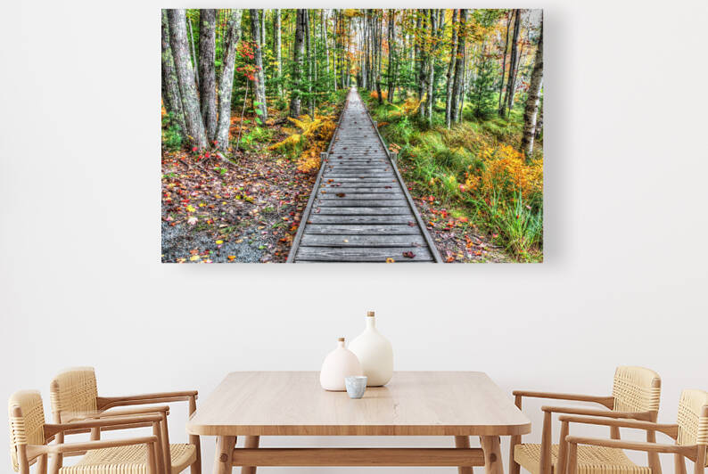 Wooden boardwalk to colored autum forest by MVP