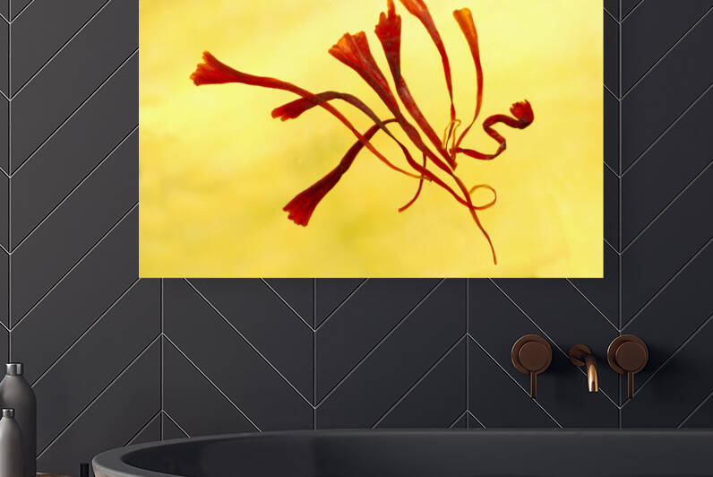 Saffron Still Life by Iris H Richardson