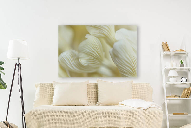 Golden Oyster Mushroom Gills Landscape by Iris H Richardson