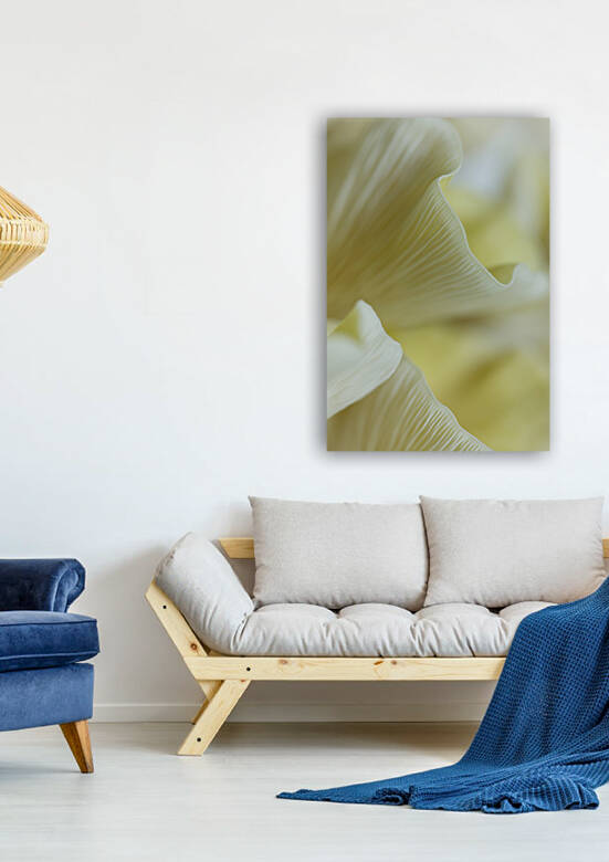 Butter Yellow Fresh Oyster Mushrooms by Iris H Richardson