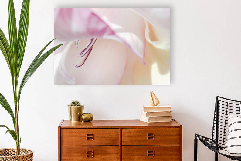  Pink Gladiolus Inside by Iris H Richardson