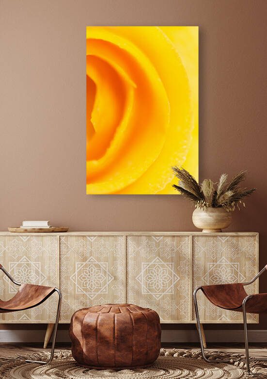 Blood Orange Rind Spiral by Iris H Richardson