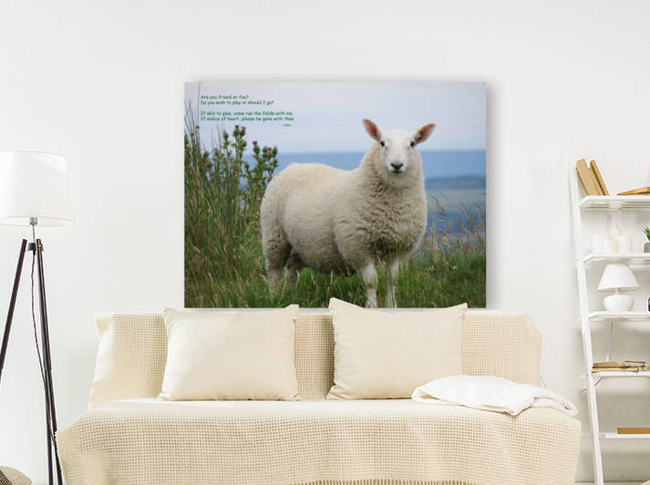 Friend Or Foe by Images That Speak