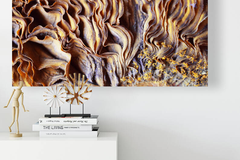 Mushroom Gills on a Wam Summer Afternoon by Iris H Richardson