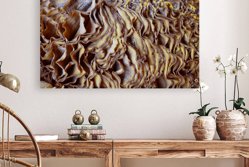 Dried Mushroom Gills Two by Iris H Richardson