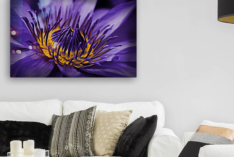 purple lily by Vibrant Canvases