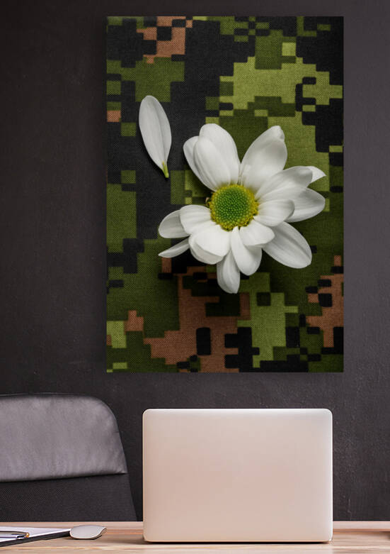 Peace and love daisy - Paix et amour marguerite by Francois Lariviere