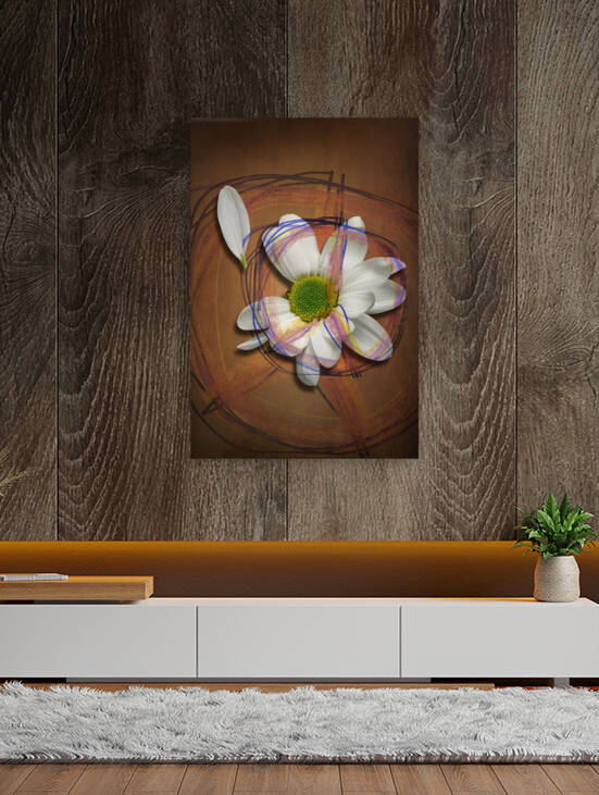 Peace and love daisy - Paix et amour marguerite by Francois Lariviere