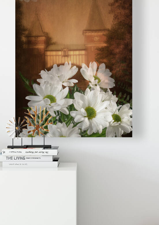 Daisy and architecture by Francois Lariviere