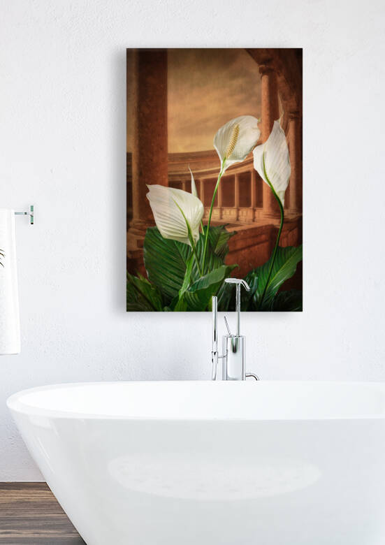 Lillies callas and architecture by Francois Lariviere