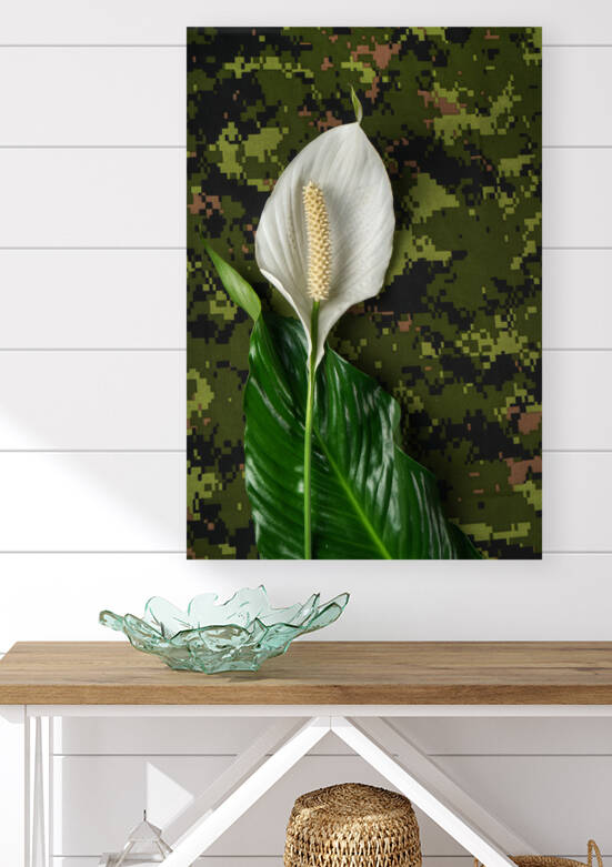 Paix et amour  Spathiphyllum Fleur de la paix by Francois Lariviere